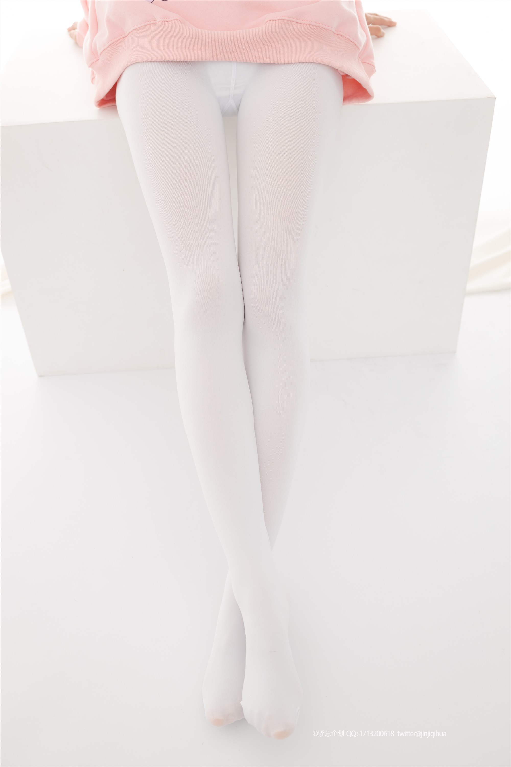 紧急企划  NO.012 一只喵喵梓